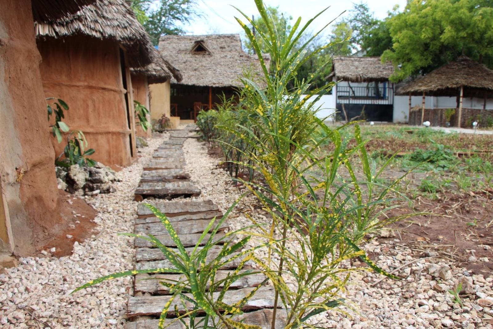 Zanzigo Hotell Nungwi Exteriör bild