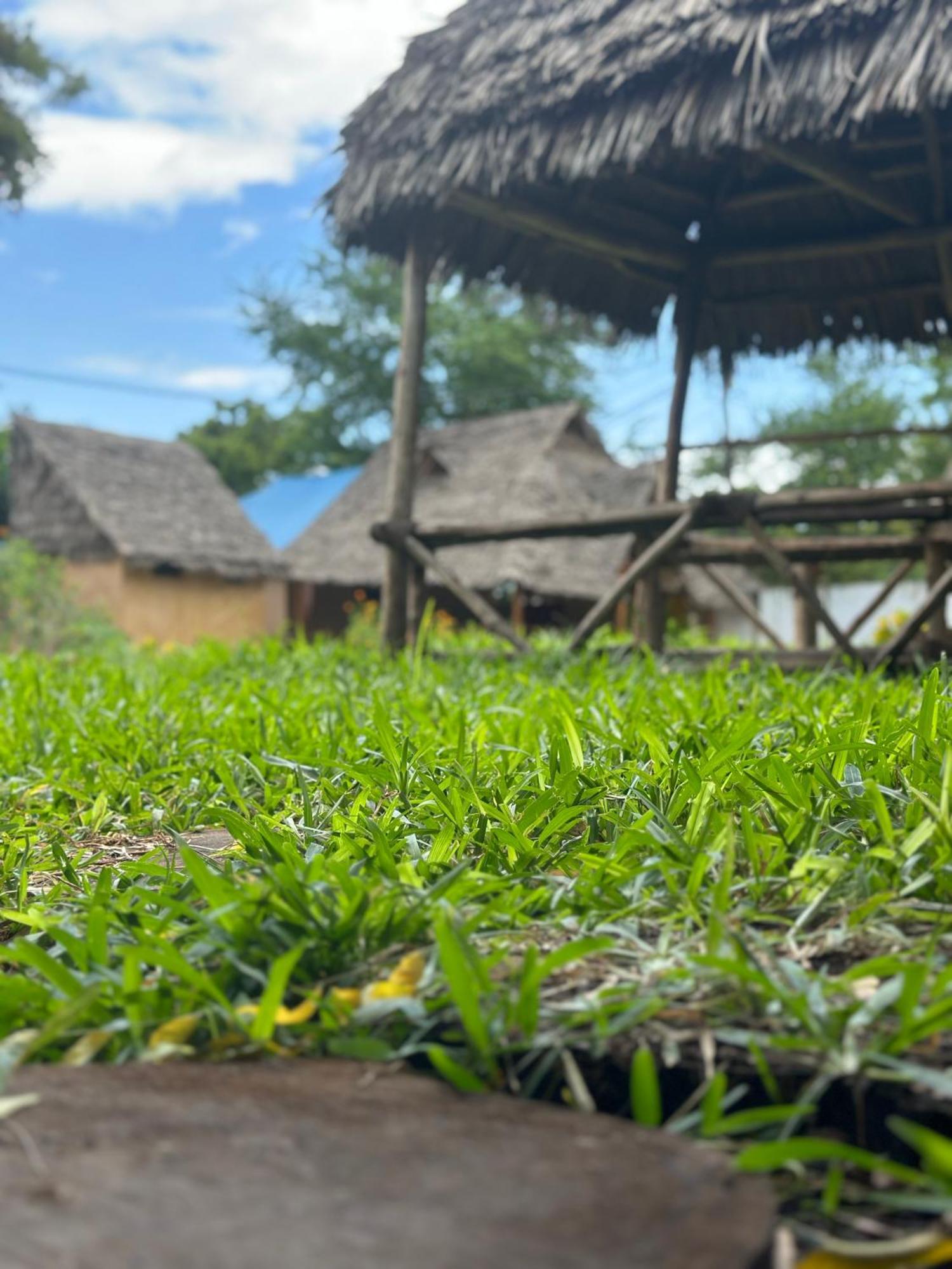 Zanzigo Hotell Nungwi Exteriör bild